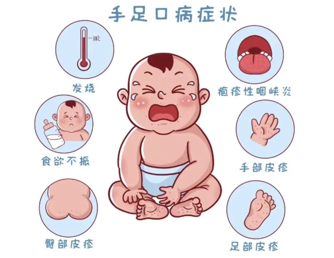 98dd793f206055fd4896ed12a70943d7