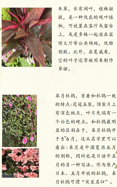 图片 5