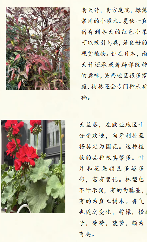 图片 3