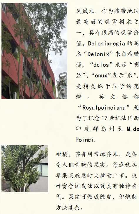 图片 6