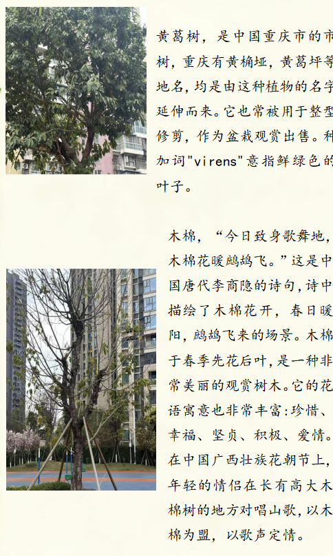 图片 4